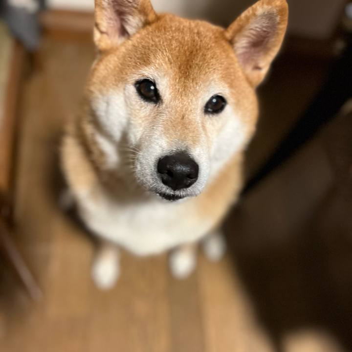 78d0d8fe 0fc7 4843 83df bdcbbe458cbe 1634737087852