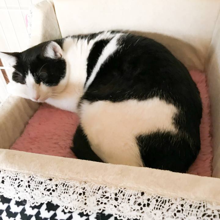 78d0fe3a f0d7 41bf 99e5 bd998da98105 1516668723070