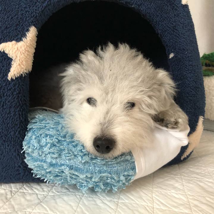 78d1107a d4be 40c3 bc7e c8f3afa7597a 1595289728300