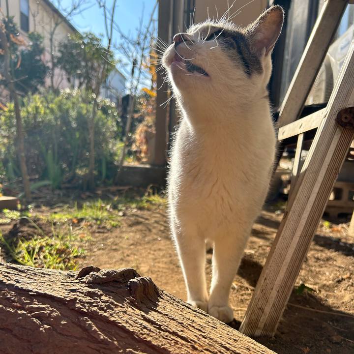 78d13908 d2a8 4873 a6d9 4d55ea6d8075 1706756551284