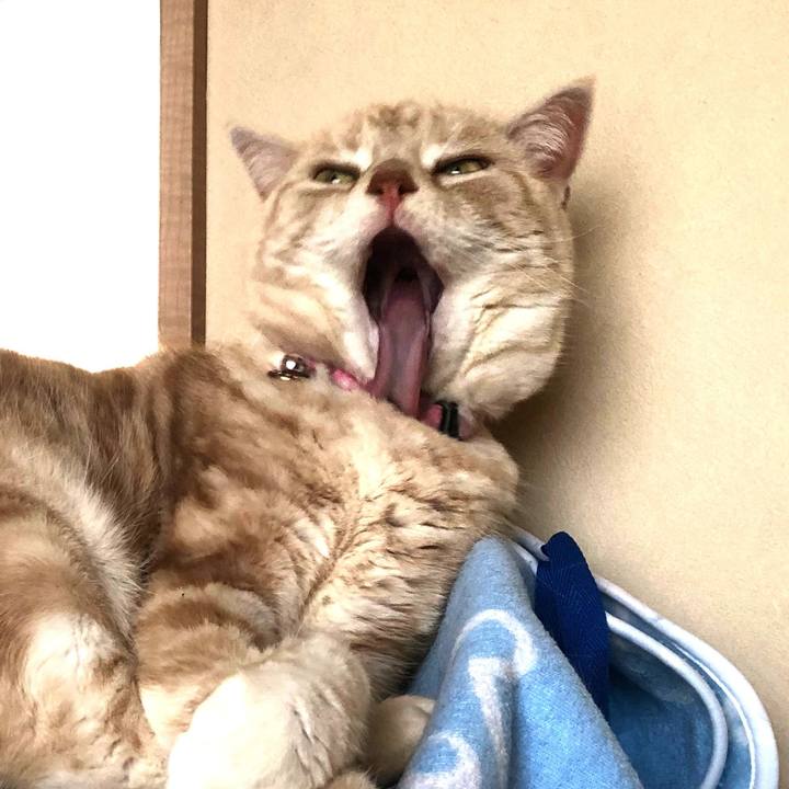 78d15854 04c2 4445 922d 0a8f4d2afeda 1553071464834