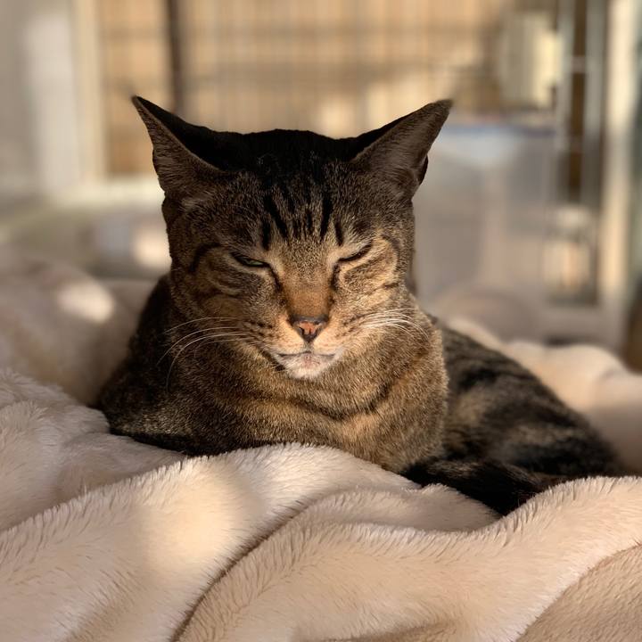 78d16d34 9666 4f92 a84e 139bf2d72aae 1548117895174