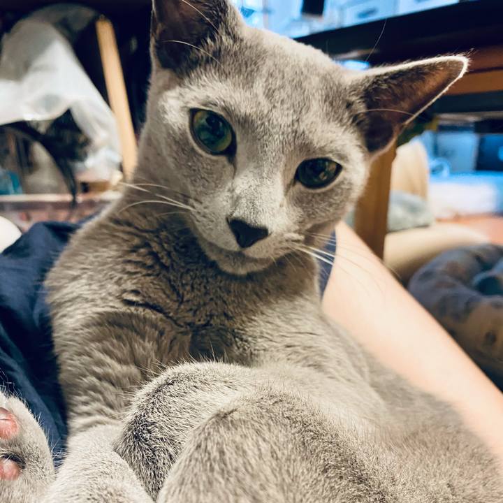 78d1afca ae3f 4052 b138 ea01282b53dc 1621311882600