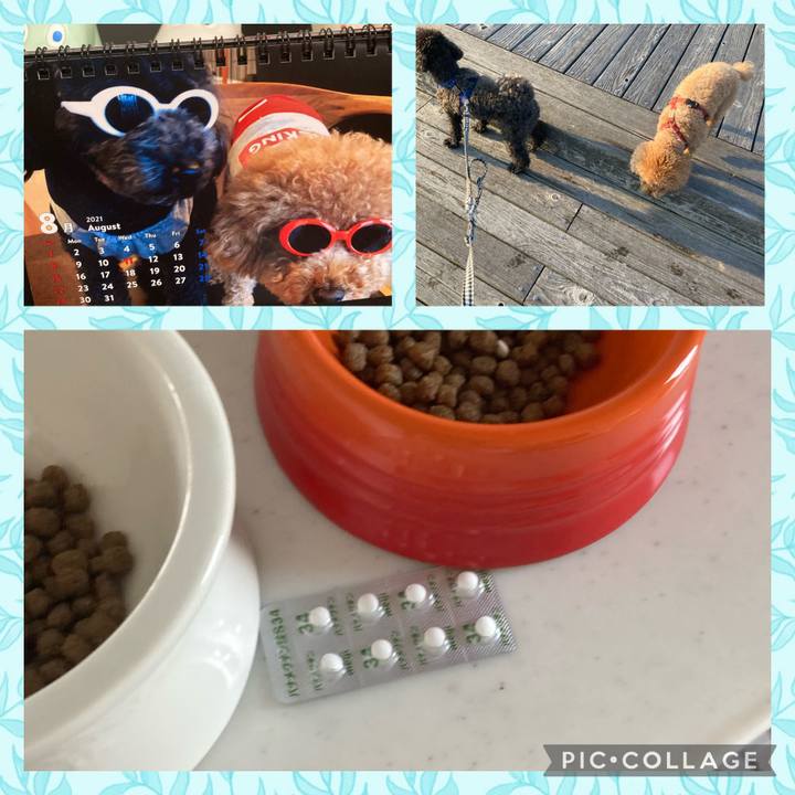 78d1c02b a9fd 4ace b80e 1ec649accc3f 1627910345002