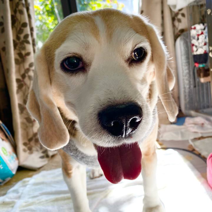 78d1f5e0 64c7 4607 a6e5 9beb77d769d7 1641964008983