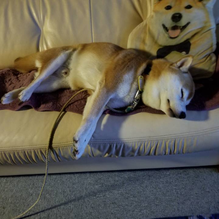 78d26da3 907a 4659 8da6 645160d68b99 1570362006008