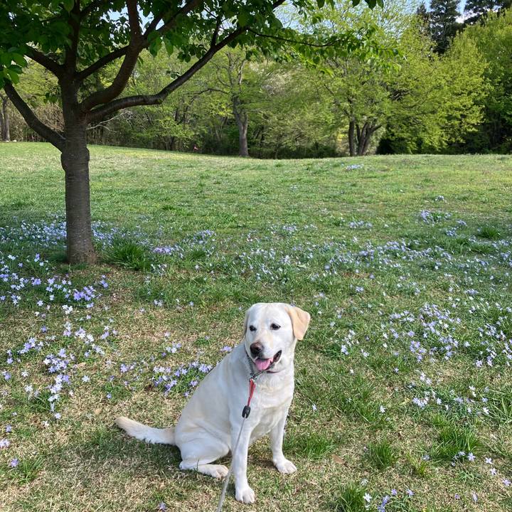 78d27575 97e8 4113 b7e6 bdf695b90b40 1680532309384