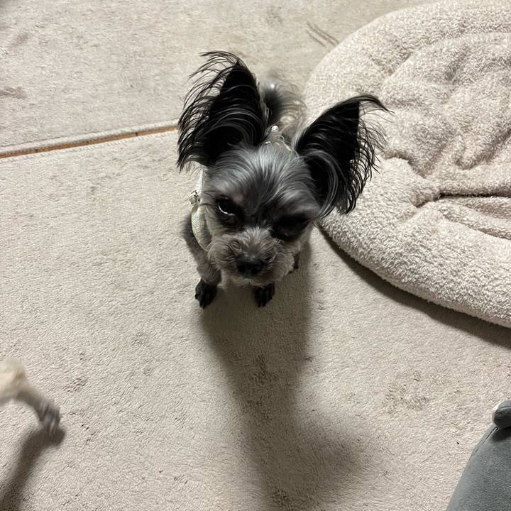 78d27ea5 89b8 4520 b06d f3811200a565 1771382145533