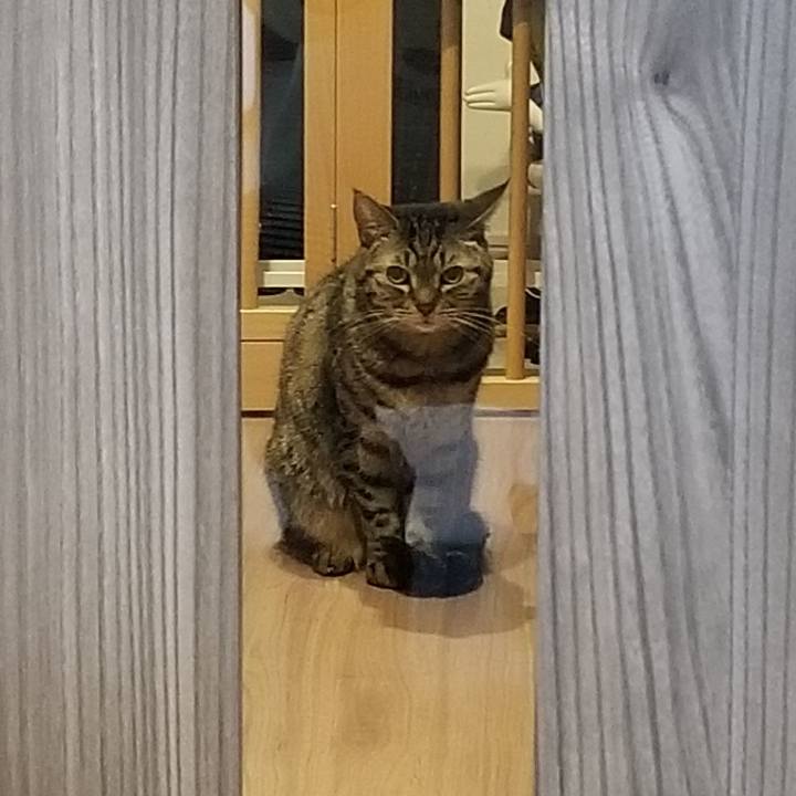 78d29a7b 4c14 4afd 91be 87bee5efd857 1551734844233