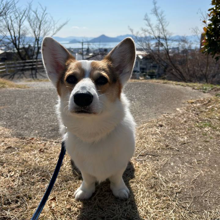 78d2ab15 f456 4f3d 8fe0 be224df28274 1773196264540