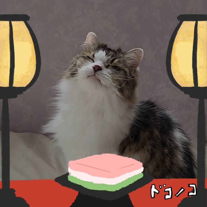 78d2c761 f492 4181 b97c c141d09329a8 1741073839761