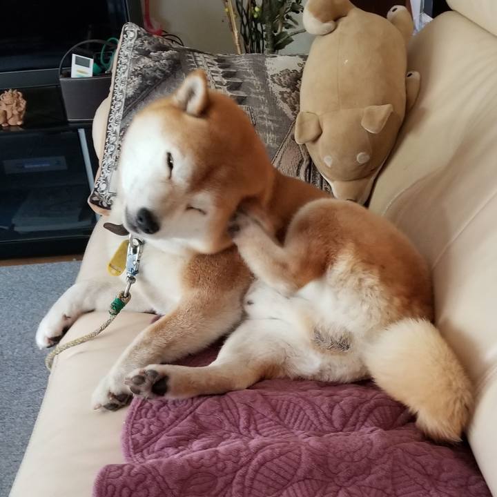 78d2c901 53c8 44ff 9442 409ea3c63a53 1591498928302