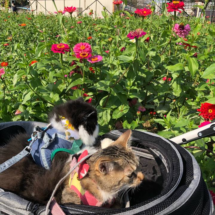 78d2ef56 fad3 4ea8 8054 0f0aa4e2a97d 1633762242115