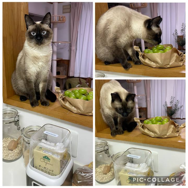 78d30110 d71e 446a 85a7 909d739b2ad8 1759783317280