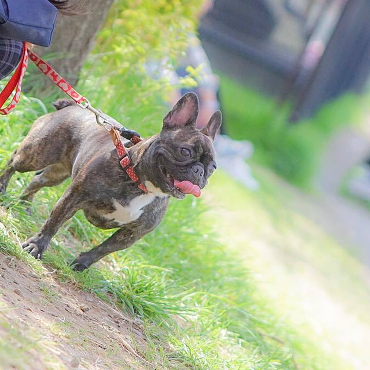 78d310b1 98c6 44f3 b3d5 092728699db8 1522837881398