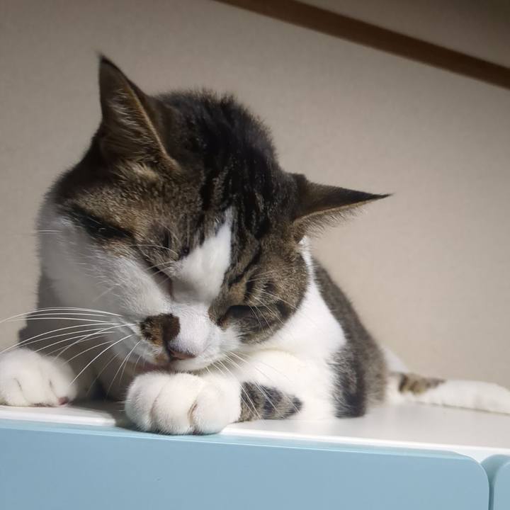 78d36b01 7dc2 455e 82ff c966d384bb79 1754998443434