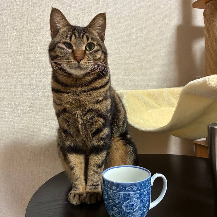 78d36be4 08f6 40d1 b30a 144beb2bafcd 1774874697115