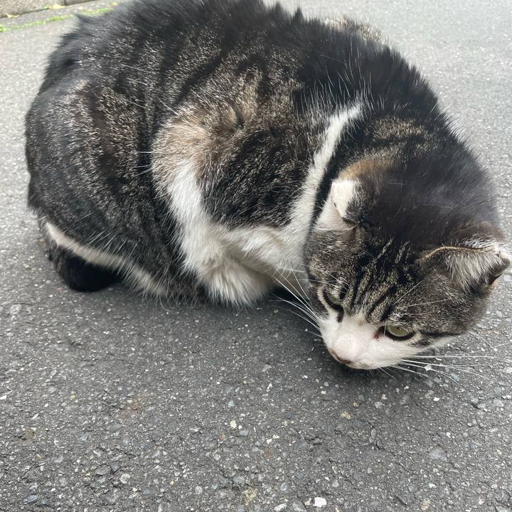 78d39d2d ad81 4d47 b0ed 4ef7fb97109b 1649319978203