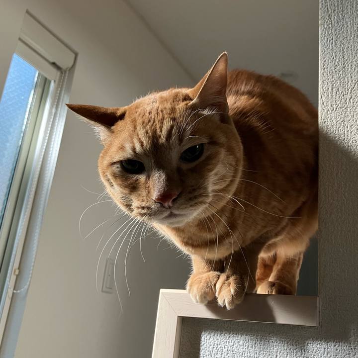 78d39f94 0185 41e9 97ad b3a9b0cd727a 1769909610018