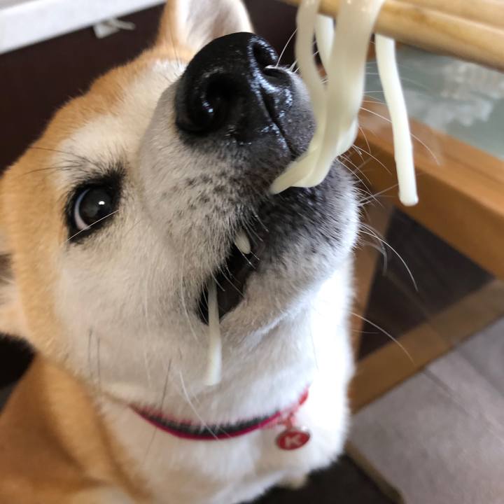 78d3a3af 66bb 4f3b 9c98 aea82707f89c 1527565728313