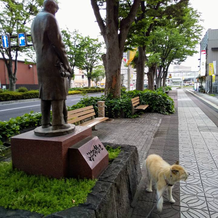 78d3ba67 ddb5 4744 8d99 681fe346f8d2 1561198426065