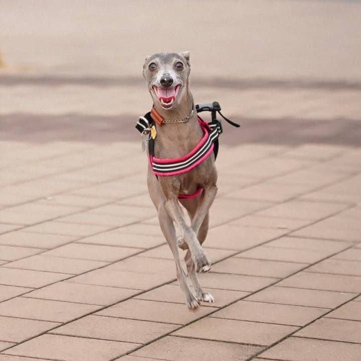 78d3e642 a3ab 4034 889a 464decc58277 1759048211021