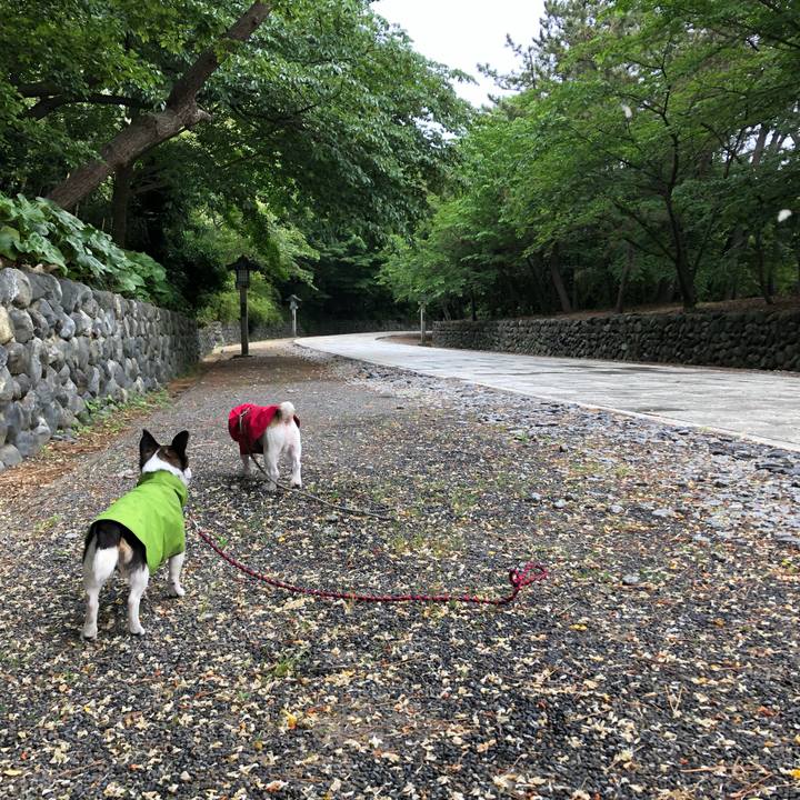 78d3e8b1 14de 43c9 874f c94ded762a85 1558998294350