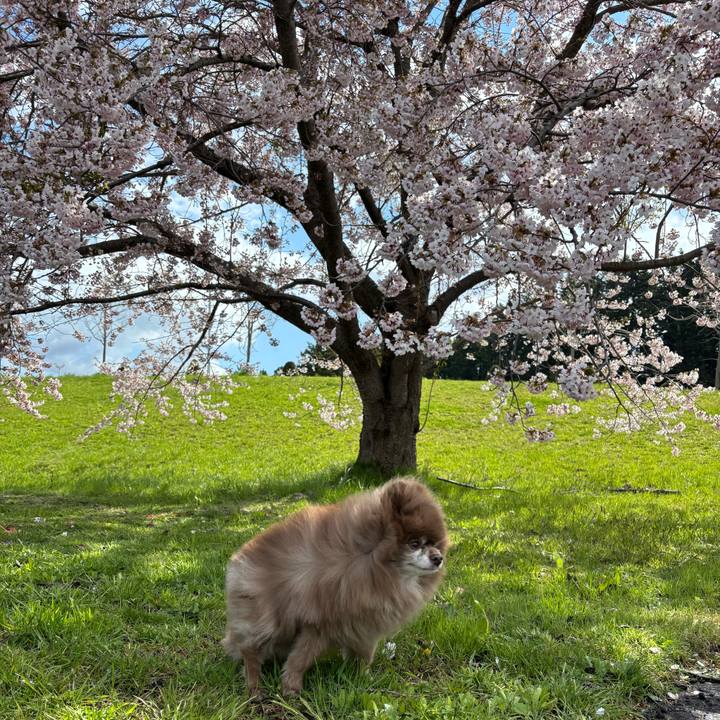 78d3ffea da8a 475d 9ebb 707404f74675 1746432402770