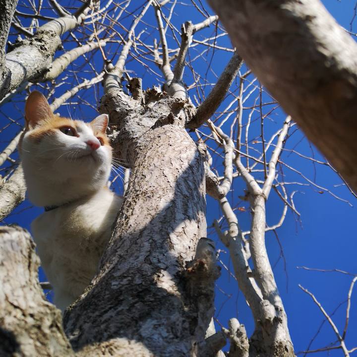 78d407f9 9ff2 48c0 b4ee 8b2b5ab59c96 1547468545139