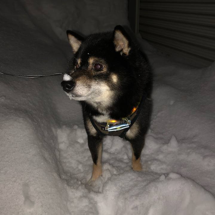 78d44415 8125 4c34 bff9 2e575c94b18e 1547287218966