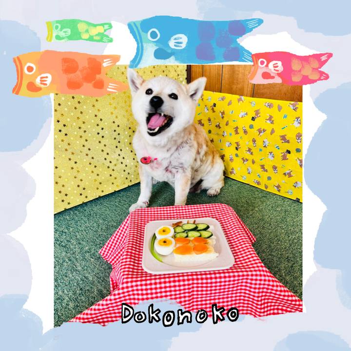 78d467f8 c40a 49a2 a811 d47569ecef47 1749127832659