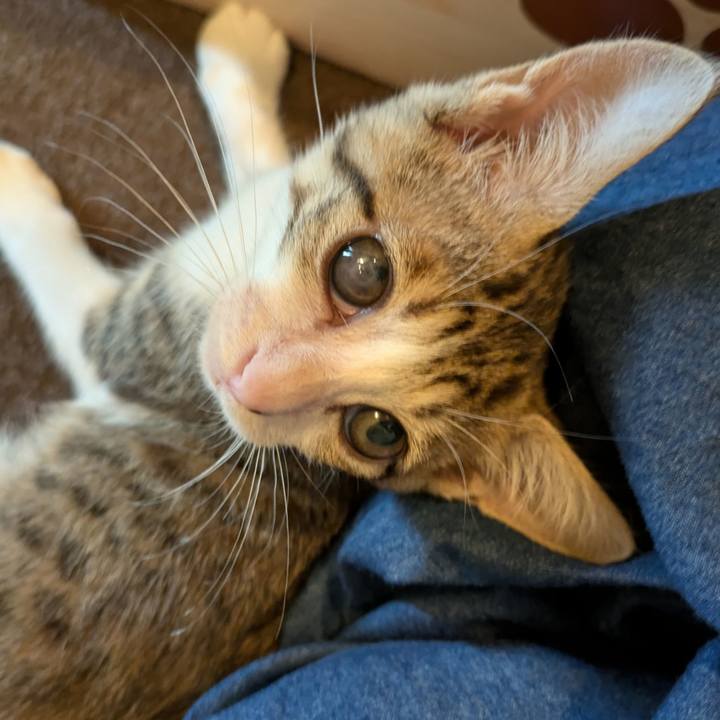 78d49bb5 e758 43a7 99b9 62a589b1c165 1728972206329