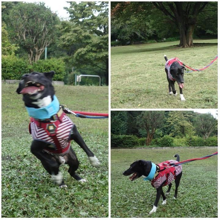 78d4bd03 ce28 4d13 8a6d bb6a043780d8 1627689792364