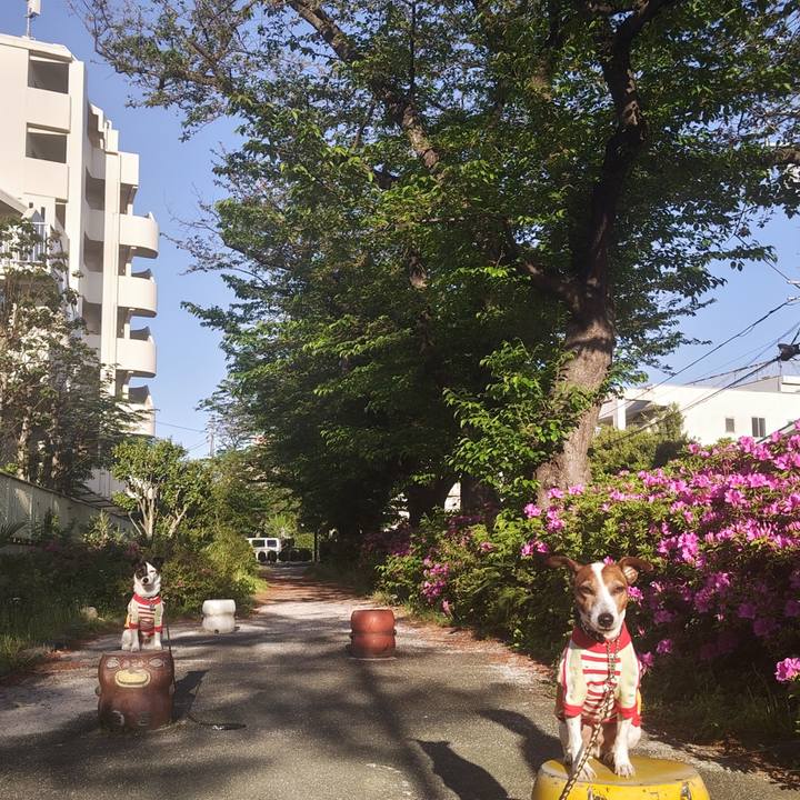 78d4cf9c e91a 4e0b 8965 b50a35492594 1745184622485