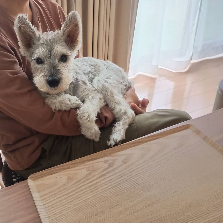 78d4d739 031b 4e3c ac1a 0373245e97d9 1761478159391