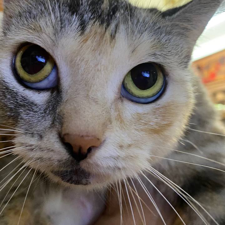 78d4e0fd 533d 463f 8096 3557057c995a 1601819258308