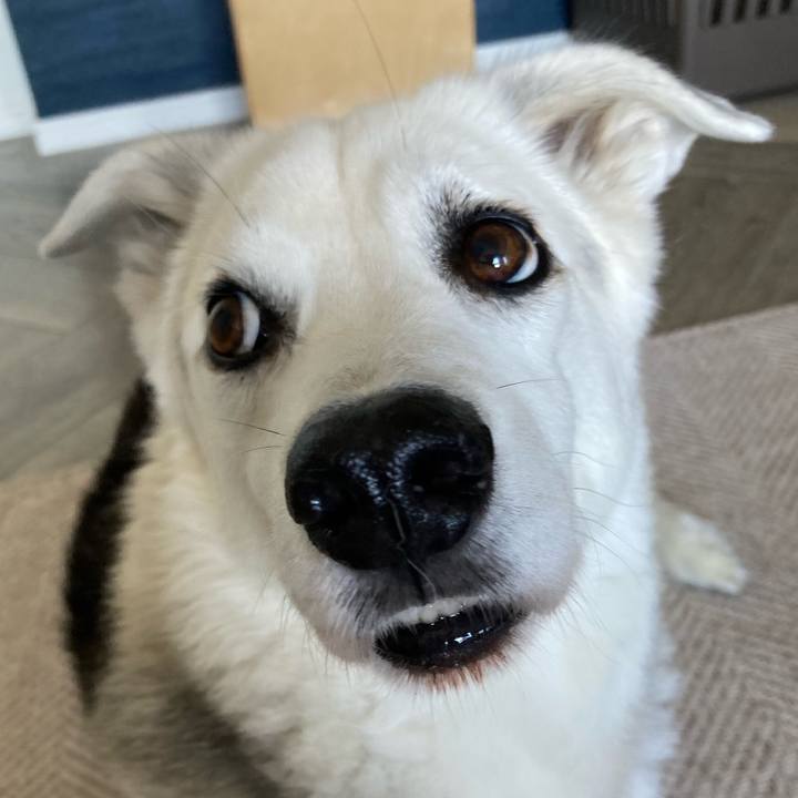 78d502cb 542b 436d 9029 5cea80217c79 1725628560430