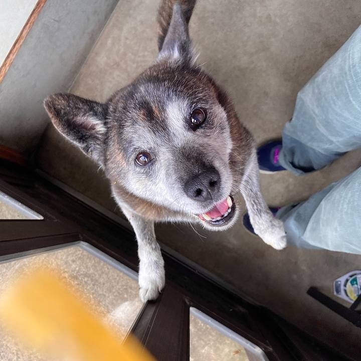 78d5086d 7f04 40b3 be69 ab78ae2657bf 1730252633433