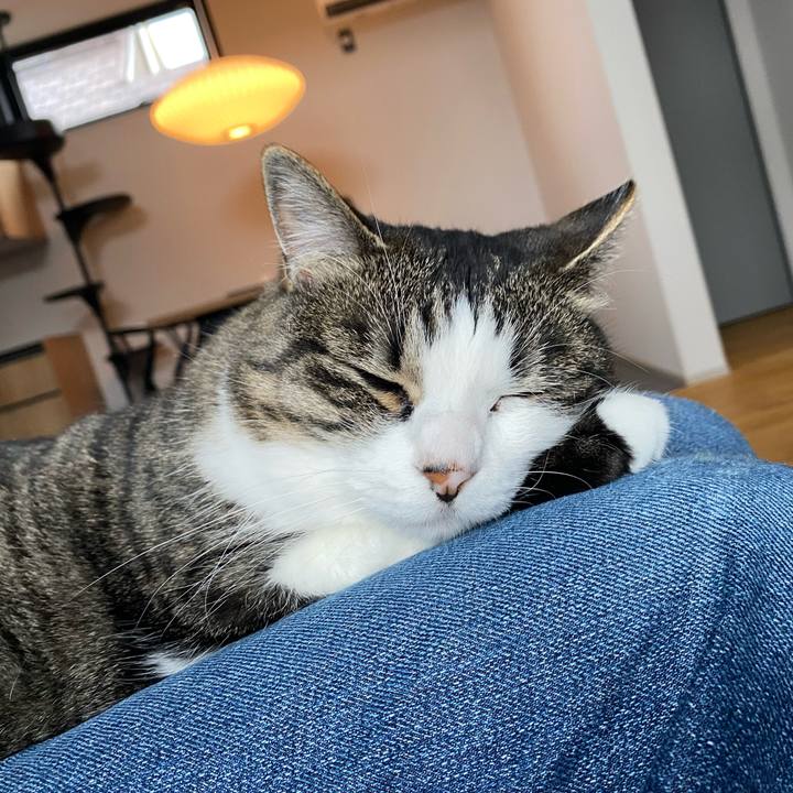 78d525e7 1761 4da7 bfdb baca801f0637 1749622425002