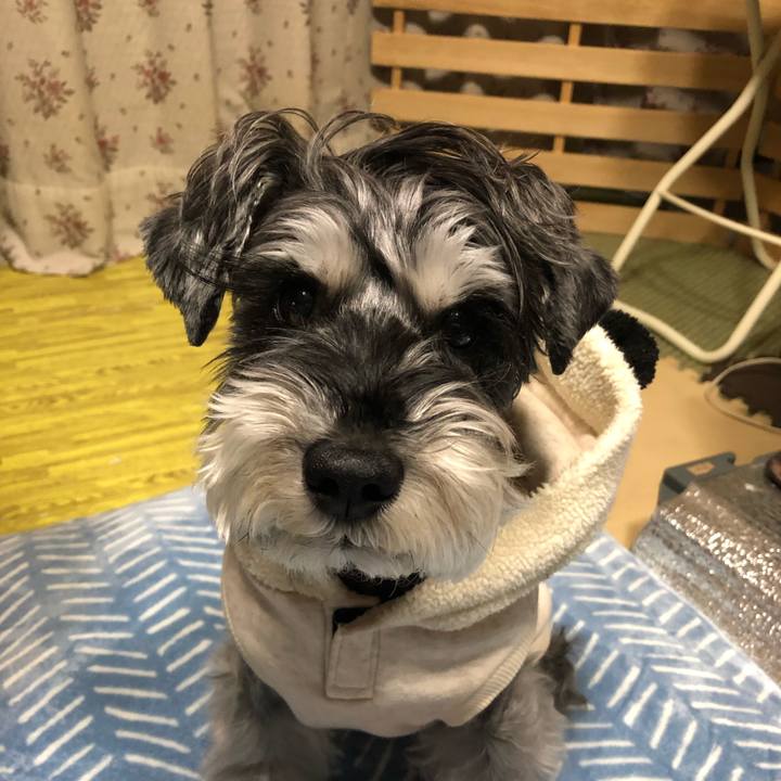 78d53e7c 4de1 49b6 8cd5 4015a0177ce6 1672489492501