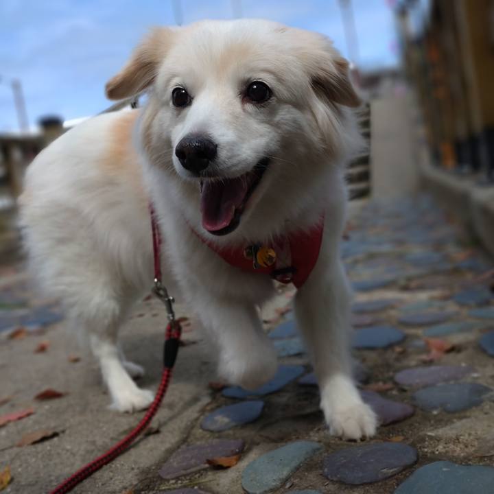 78d55ff4 c5d0 48d8 b427 aebca40a90d1 1647989809259