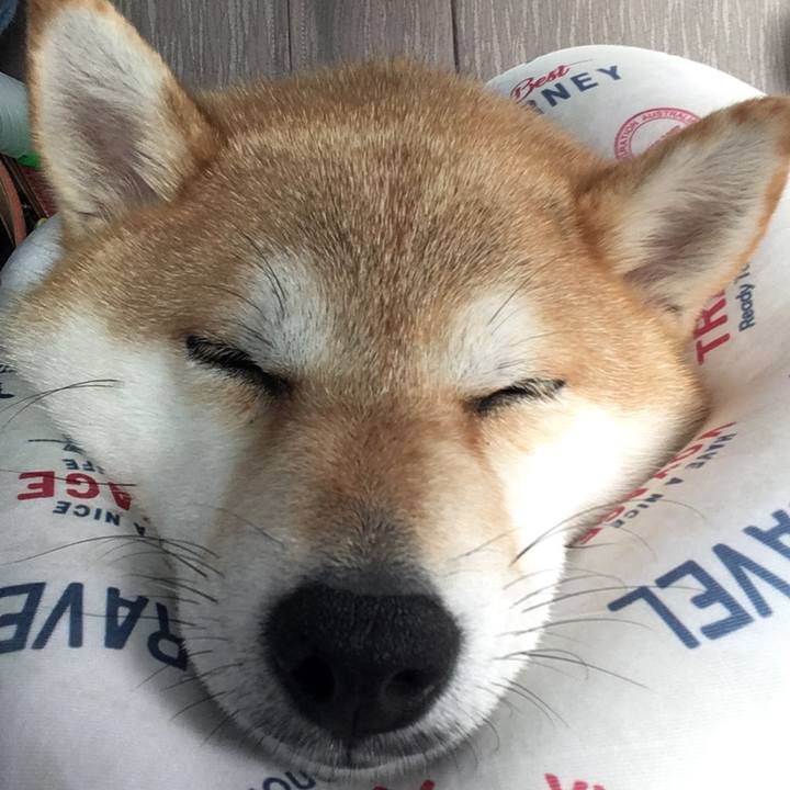 78d5704b 73f7 4f92 82e4 97bca740c3a3 1561616300283