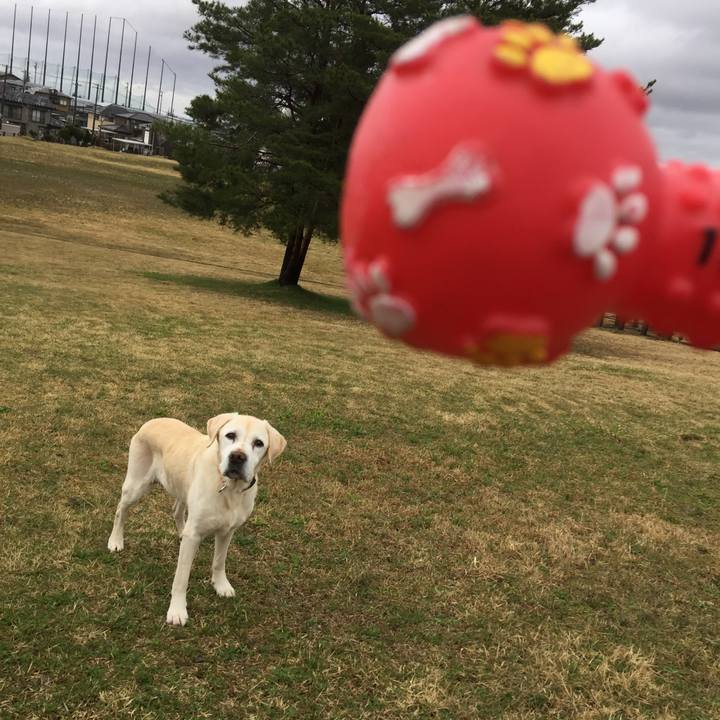 78d5789e e446 40d6 82f4 2dd994ffcc07 1523773023382