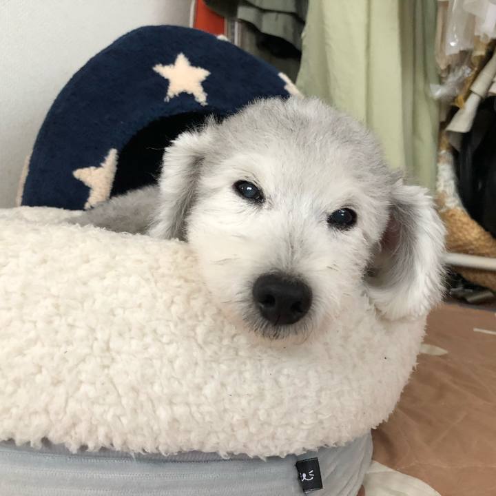 78d578d8 fea2 4b79 8284 9e22099b630b 1598573589596