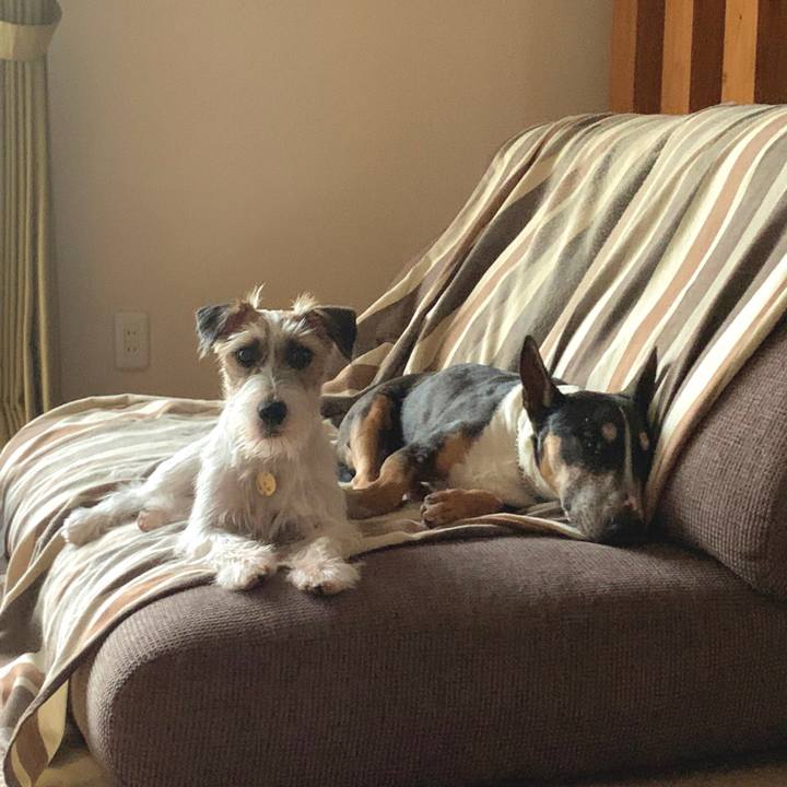 78d59095 10bf 4887 a302 a223c3273aad 1595429709160