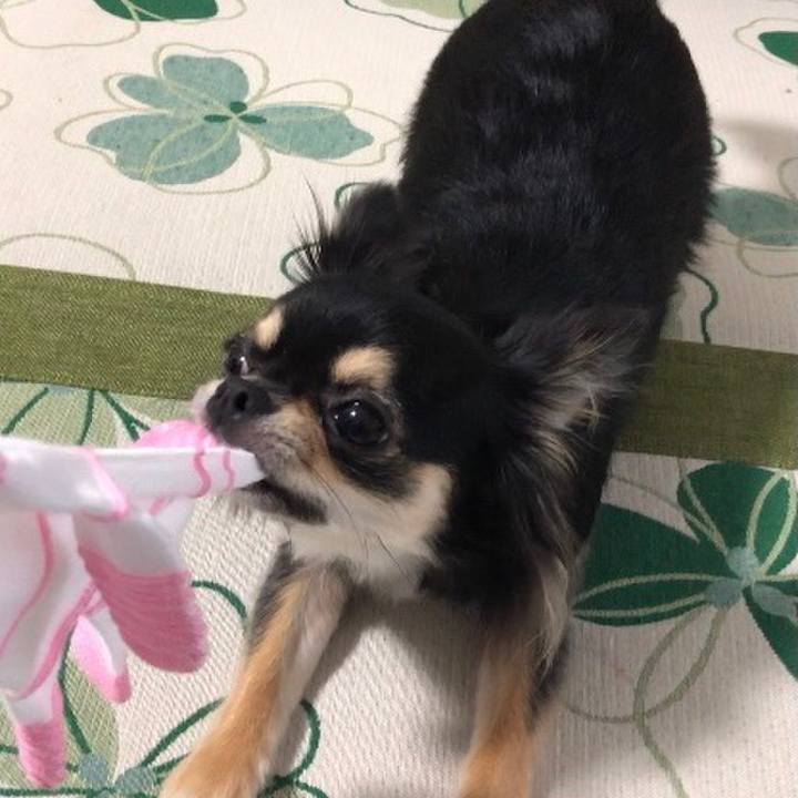 78d5a3ce bc68 44fc b6ab c601c5d9bb31 1562626870785