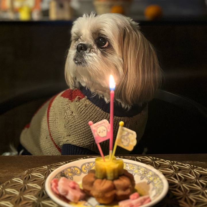 78d5ded1 a7cd 4ae6 9282 0ca7d5dc3daf 1767522146394