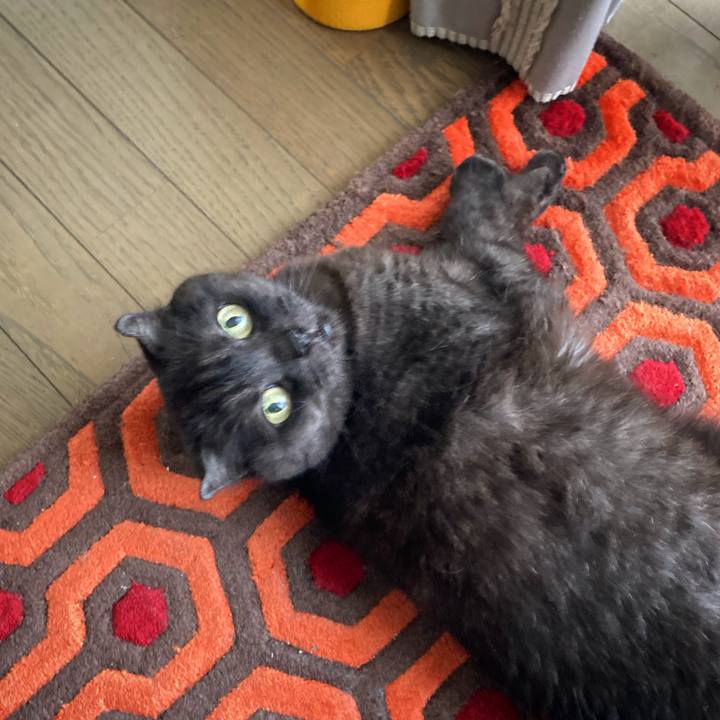 78d5f39e d7eb 4523 bcbb 6dd0c1c136c6 1590562044669