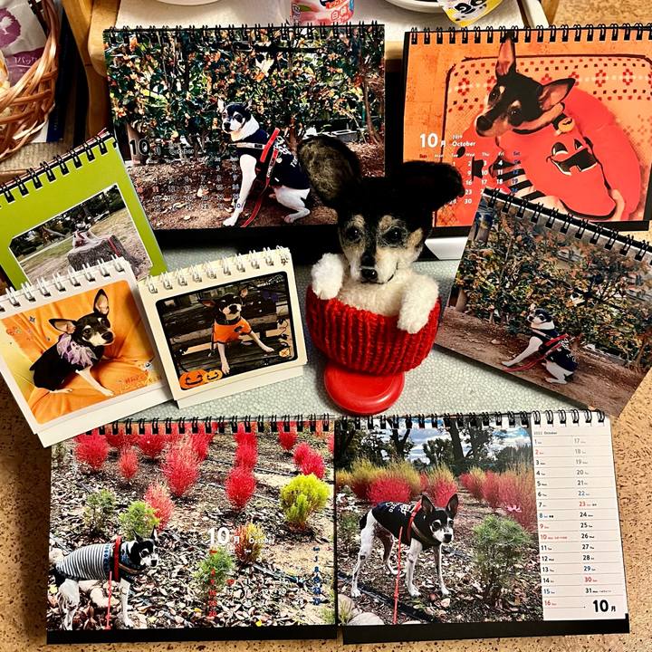 78d63162 1a51 4cf9 a8d8 e555330f6e99 1665010721498