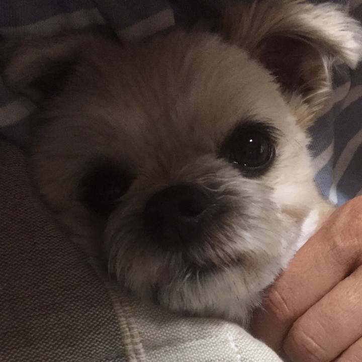 78d69138 141e 423d 8865 701a0ce01ea8 1557318665349